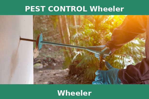 PEST CONTROL Wheeler